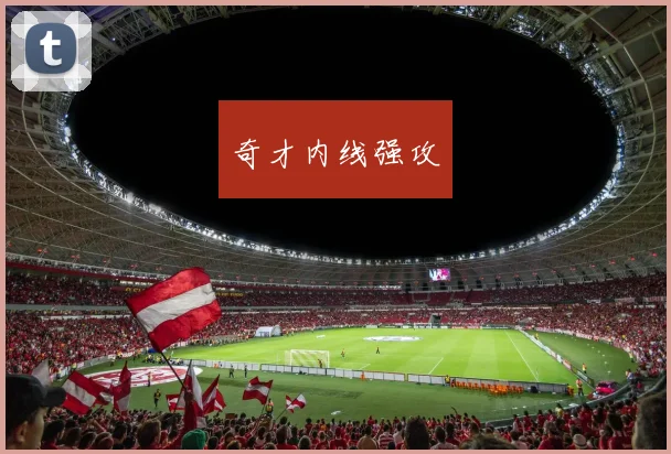 奇才内线强攻