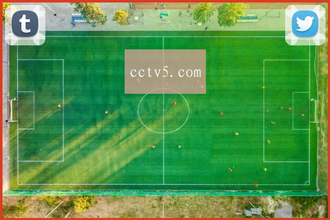 cctv5.com