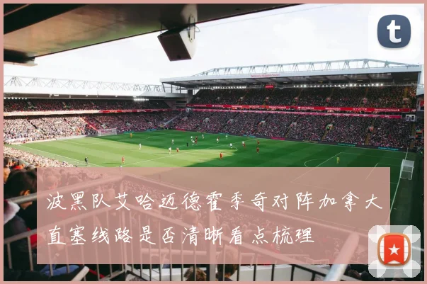 波黑队艾哈迈德霍季奇对阵加拿大直塞线路是否清晰看点梳理