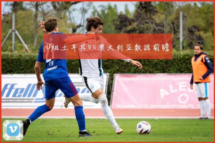 D组土耳其vs澳大利亚数据前瞻