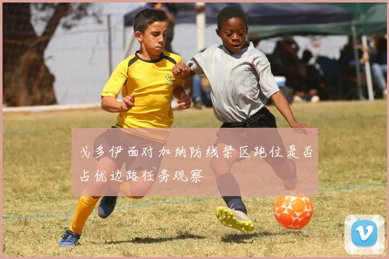 戈多伊面对加纳防线禁区跑位是否占优边路任务观察