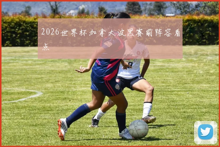 2026世界杯加拿大波黑赛前阵容看点